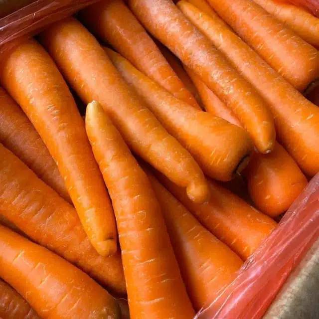 

Wortel / 500gr sayuran fresh, murah dengan kualitas terjamin.