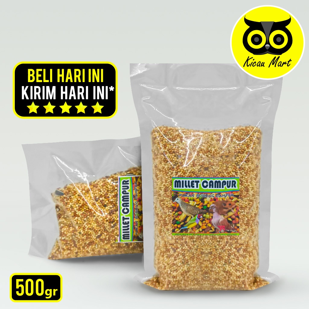 Milet Campur 500 Gram R-Fam Jaya Pakan Burung Lovbird Kenari Parkit Perkutut Gacor Pakan Hamster Biji Kuaci Milet Merah Putih Juwawut Sawi Mix Seed Millet Campur