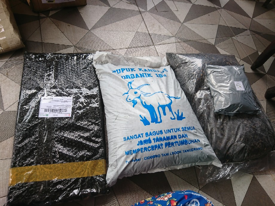 Polybag Ecer 10x10 15x15 20x20 25x25 30x30 40x40 18x18 Polibag Polibek