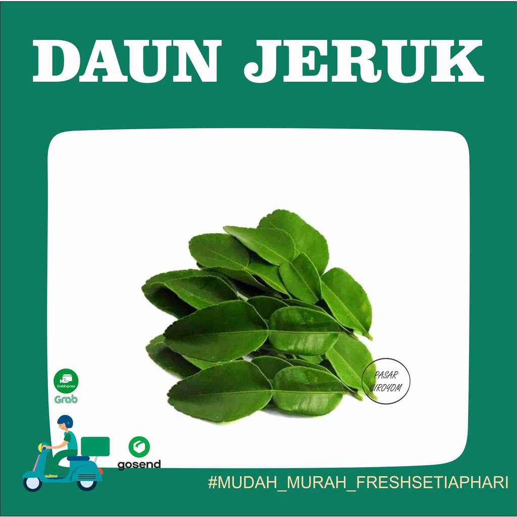 

DAUN JERUK FRESH MURAH BANDUNG 100g