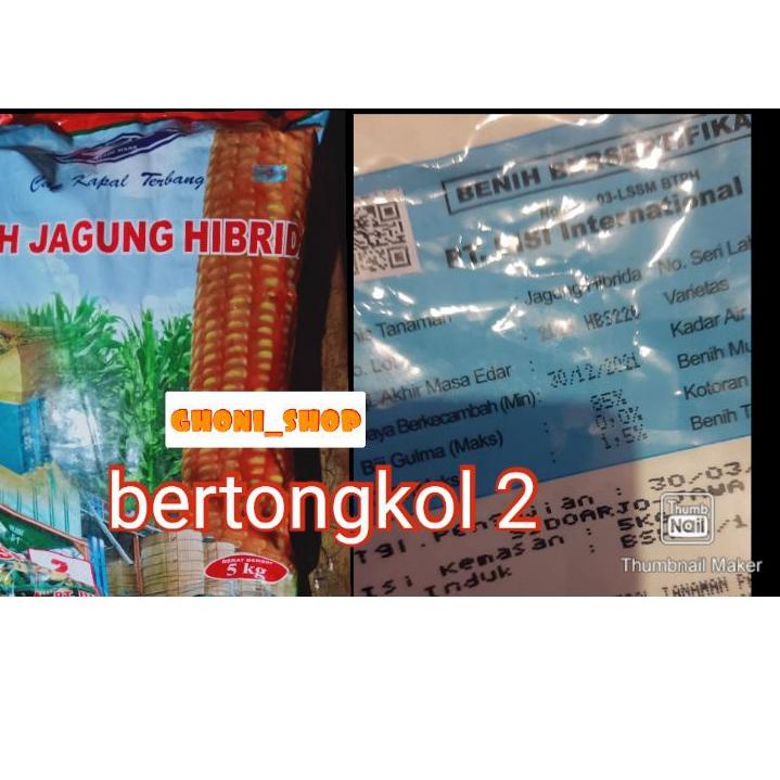 『Potongan 』 benih jagung hibrida bisi 2 kemasan 5kg bibit jagung bisi 2 ,,,