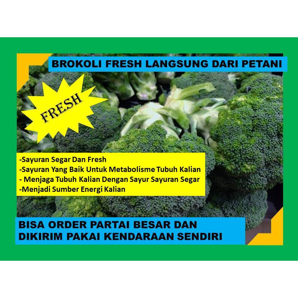 

Brokoli Berkualitas 100% Fresh