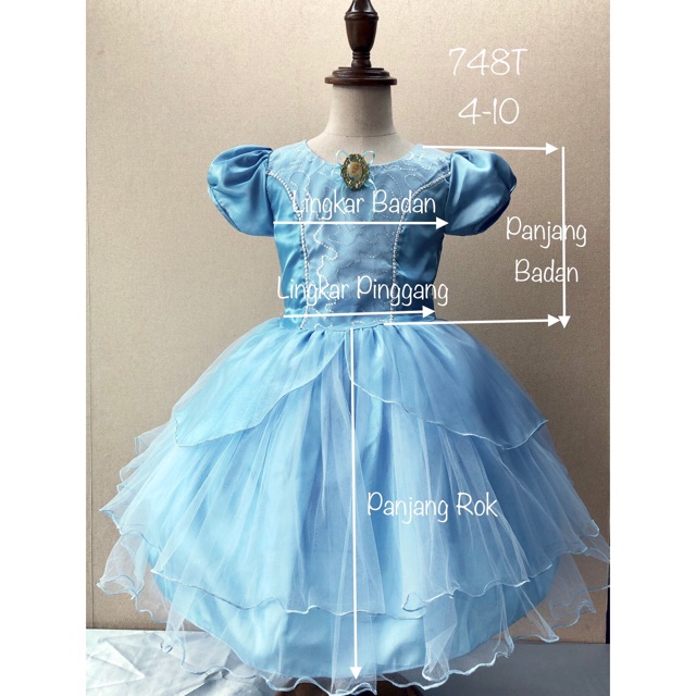 Elora Dress Anak Perempuan Karakter Cinderella Organdi Premium (748T)