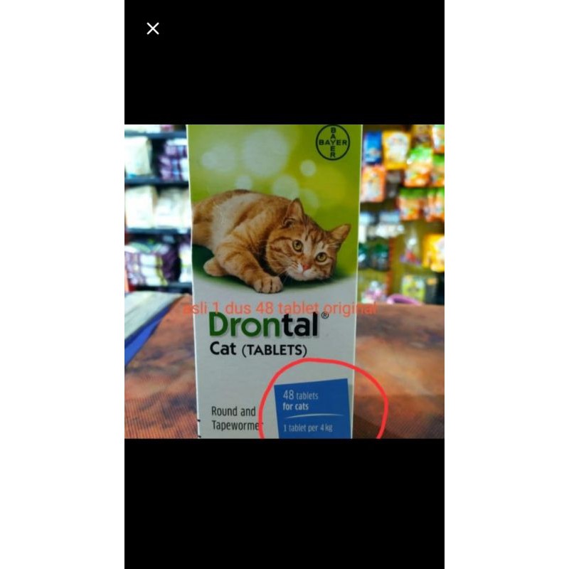 Drontal cat obat cacing