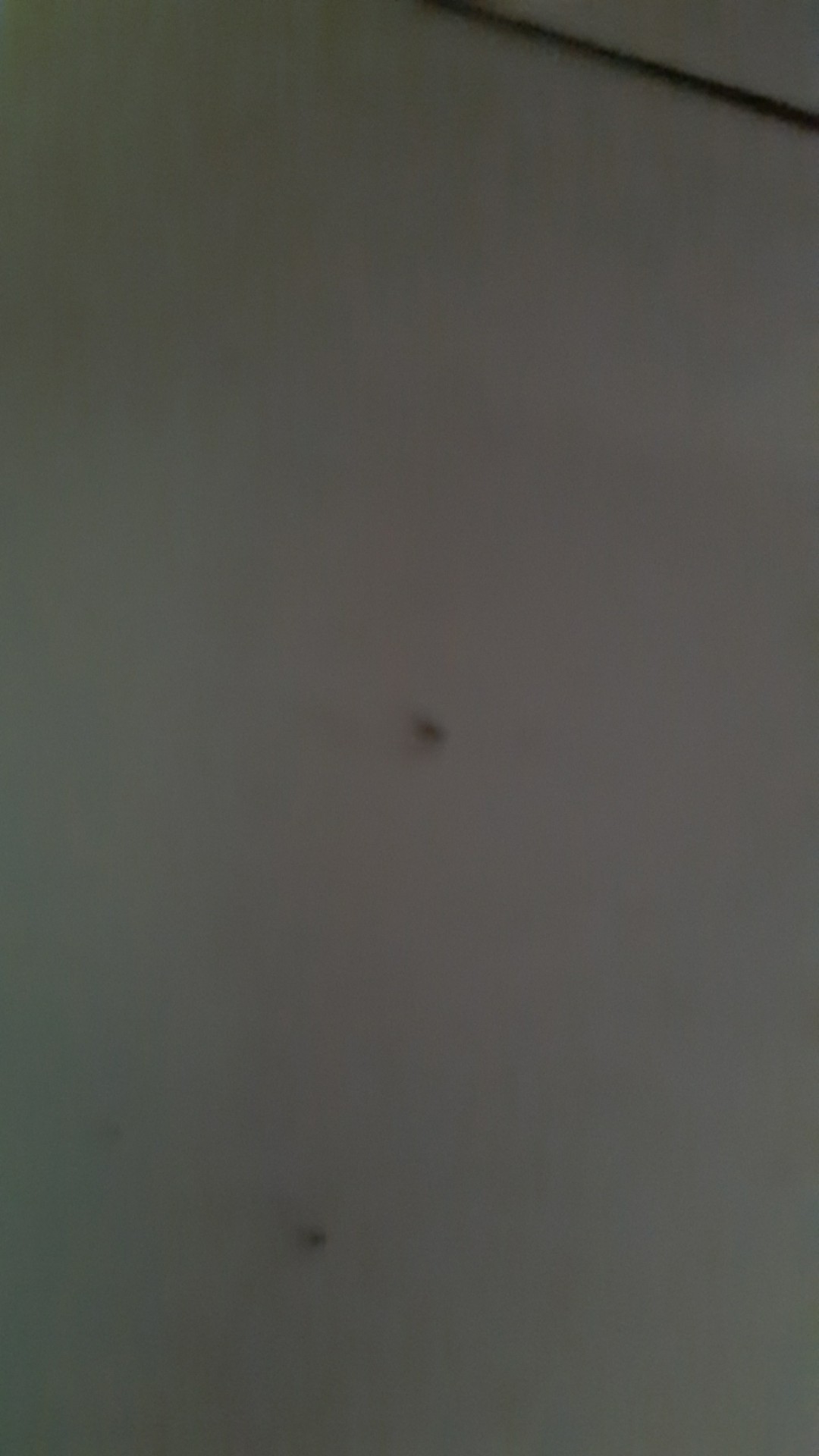 Kebaya Couple Maura Couple - Sania Ruffle Batik Couple Ori Ndoro Jowi Dnt Garansi Cp Parang Maron