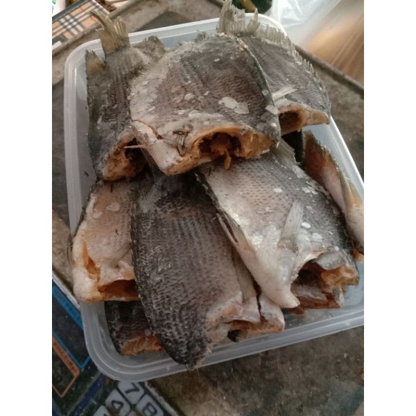 

ikan asin tembakang