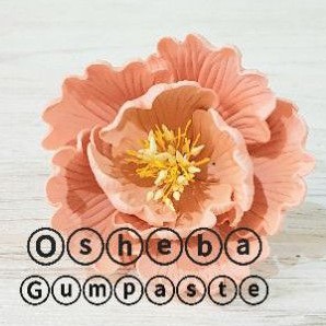 

osheba gumpaste bunga peony 8 cm