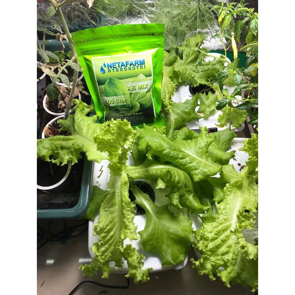 Pupuk AB Mix Daun KUALITAS PREMIUM 1 liter ziplock neta farm PPK