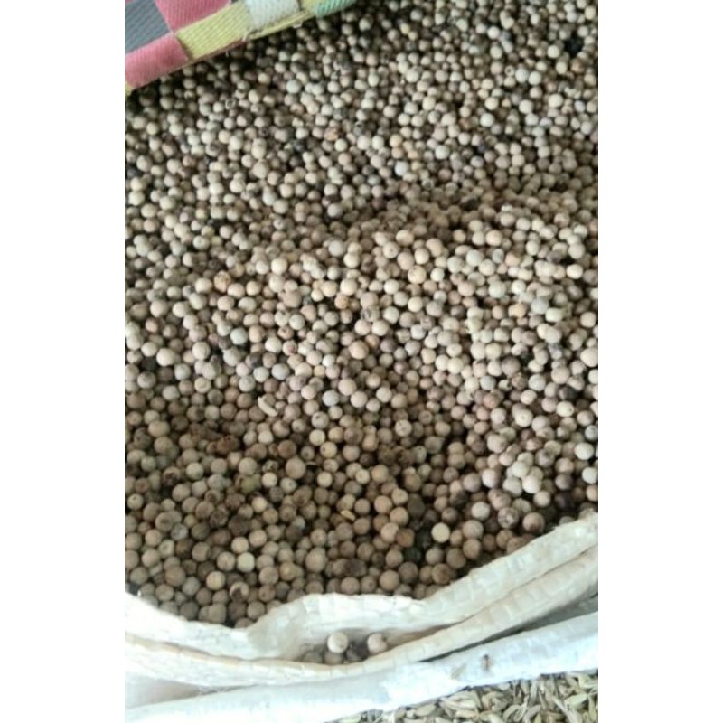 

merica putih asli 250 gr