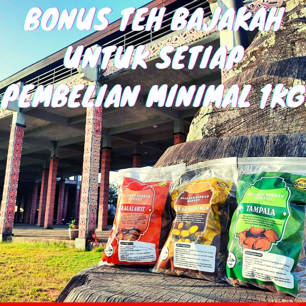 Akar Bajakah Kuning Super 1Kg Obat Herbal Diabetes, Asam Urat, Asam Lambung, Sakit Kuning-3