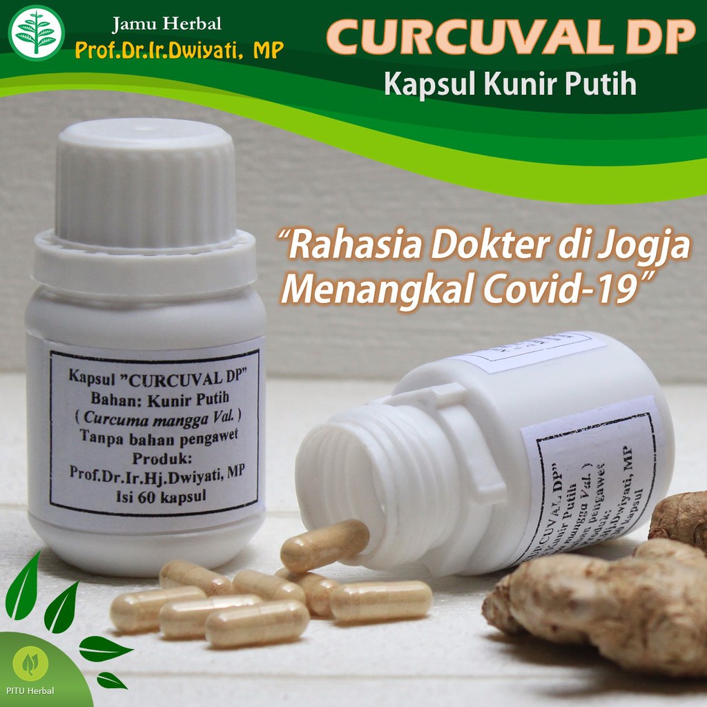 Obat Herbal Kunir Putih Penangkal Virus Covid 19