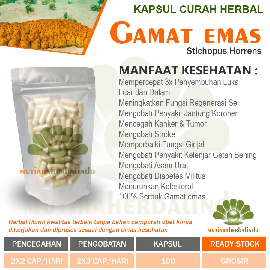 Kapsul Curah GAMAT EMAS Anti Aging Kesuburuan Pria Kanker 100 capsul