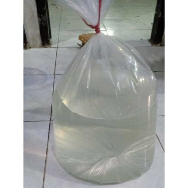 air laut dri laut madura asli 100% kemasan 19lter (galon)