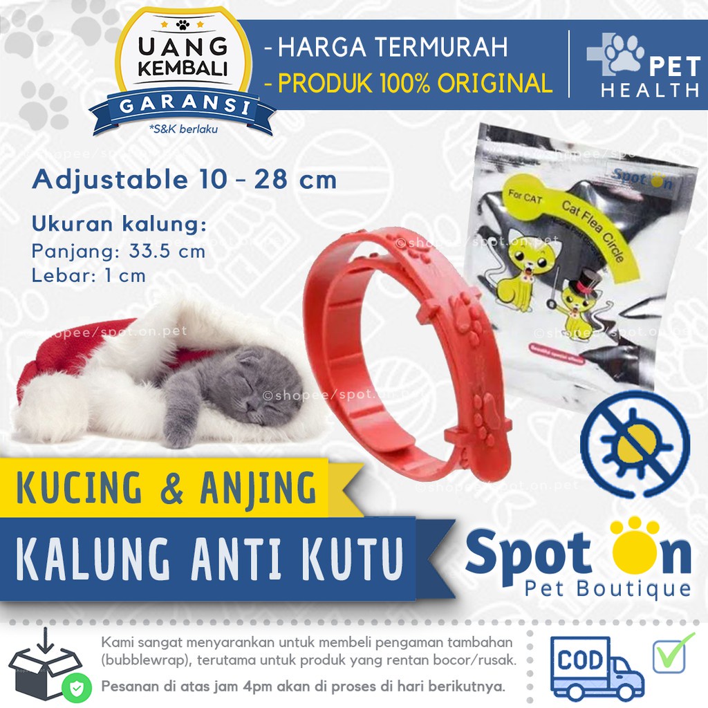 Kalung Anti Kutu Kucing | Kalung Kutu Untuk Kucing | Obat Kutu Kucing Bentuk Aksesoris Kalung Kucing