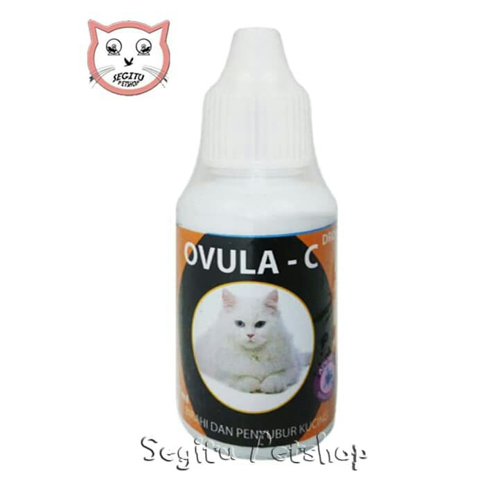 OBAT KUCING JANTAN DAN BETINA OVULA C PENYUBUR KUCING