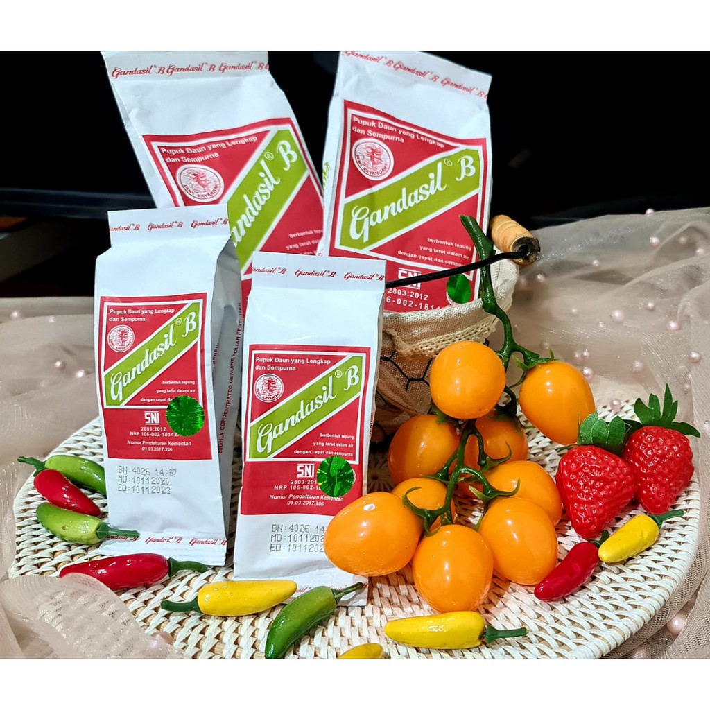 Pupuk Gandasil B dan D  Tanaman Daun Hijau , Buah , Bunga Anggrek Orchid 100GRAM