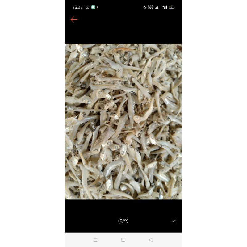 

ikan teri jengki belah 250g