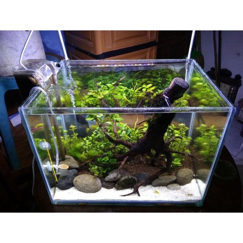 (promo) Aquascape full set lengkap