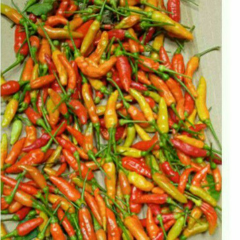 

cabe rawit segar 250 gram