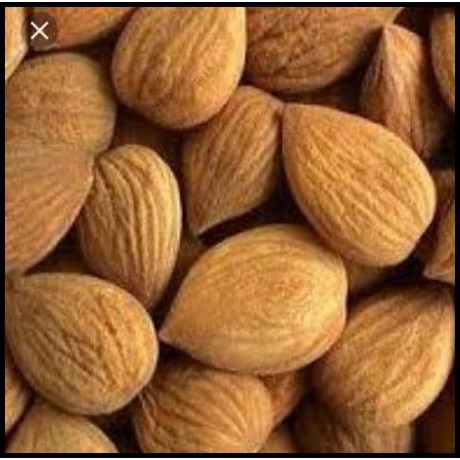 

DS OPEN Biji aprikot pahit organik / Bitter apricot kernel organic Hunza