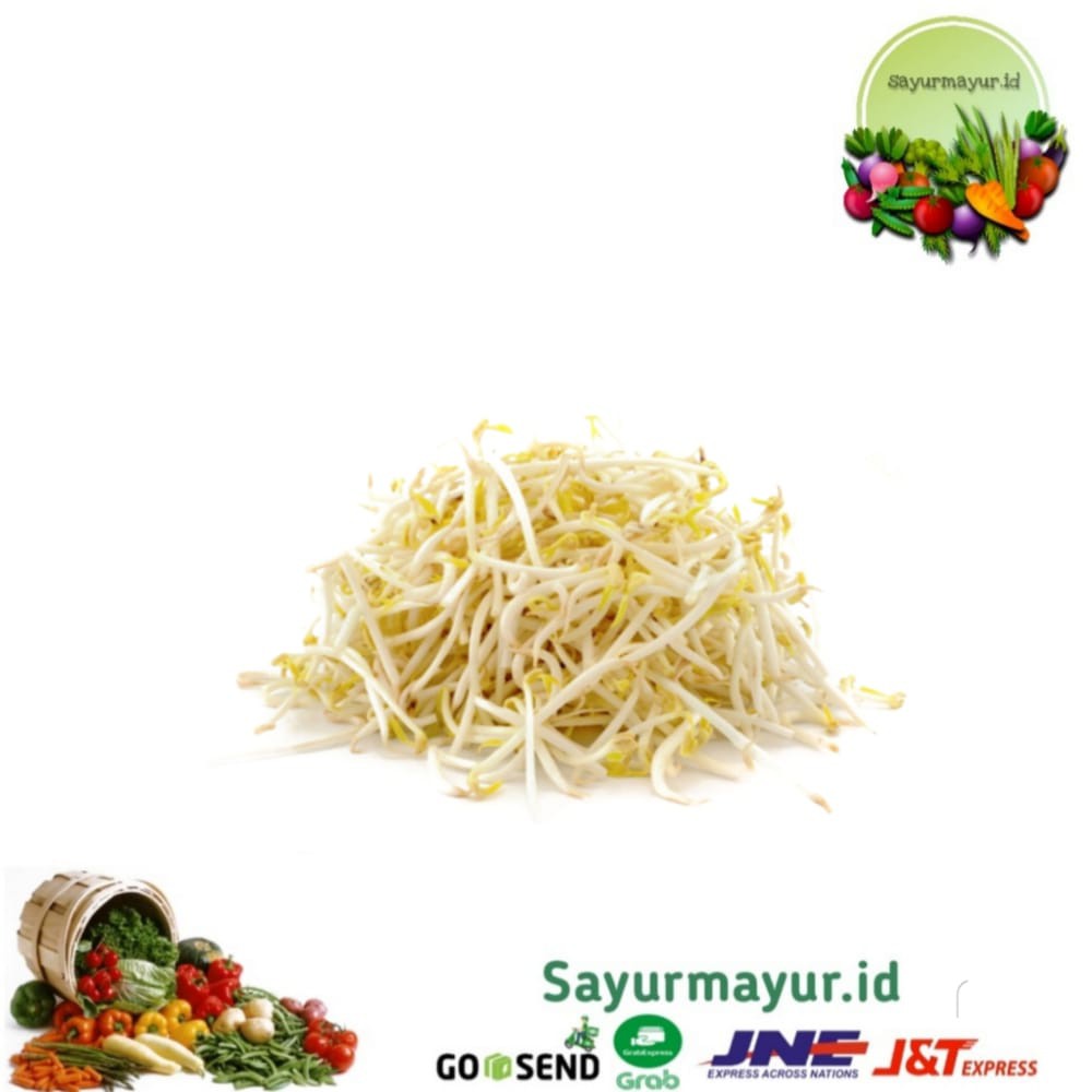 

TAUGE / TOGE SAYURAN PER 1/4 KG (250 GRAM)