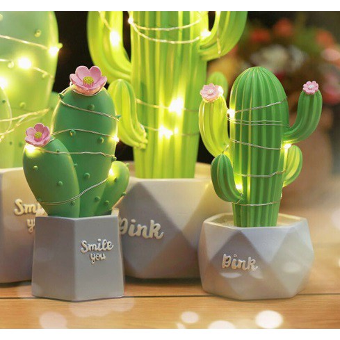 Pajangan Cactus Flower With Lamp