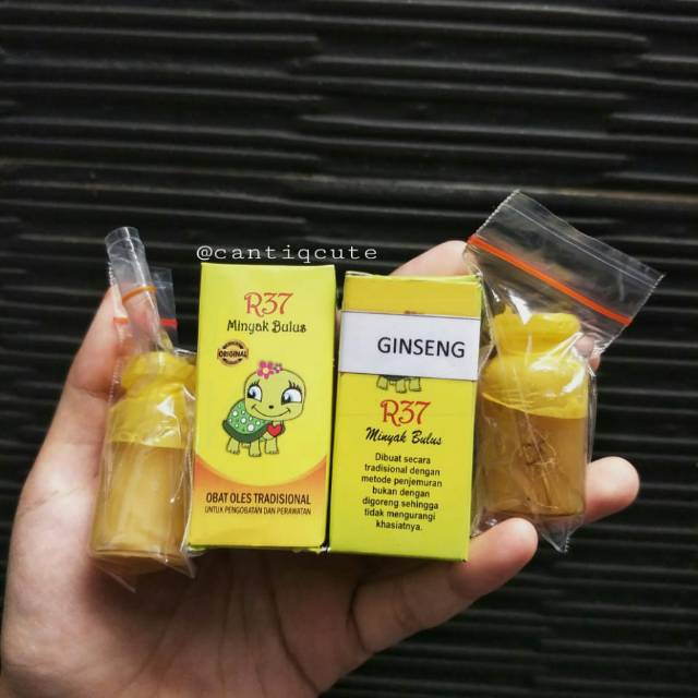 Minyak Bulus R37 Obat Oles Tradisional