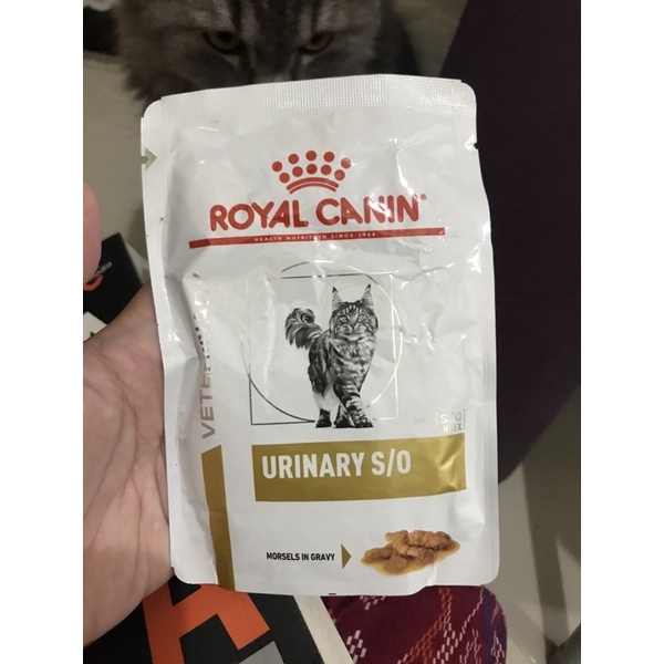 Royal canin urinary s/o wet food