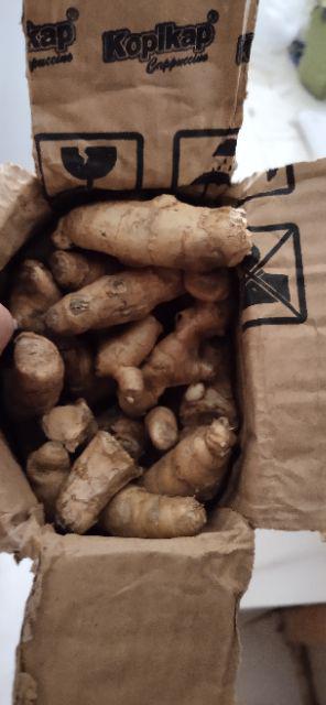 Murah Kualitas Sama 1 Kg Temu Putih 100% Organik Curcuma Zedoaria