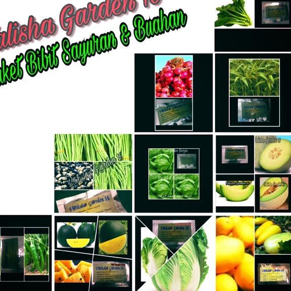 

J6W Paket Hemat 10 Kemasan Bibit Sayuran & Buah - buahan Terupdate