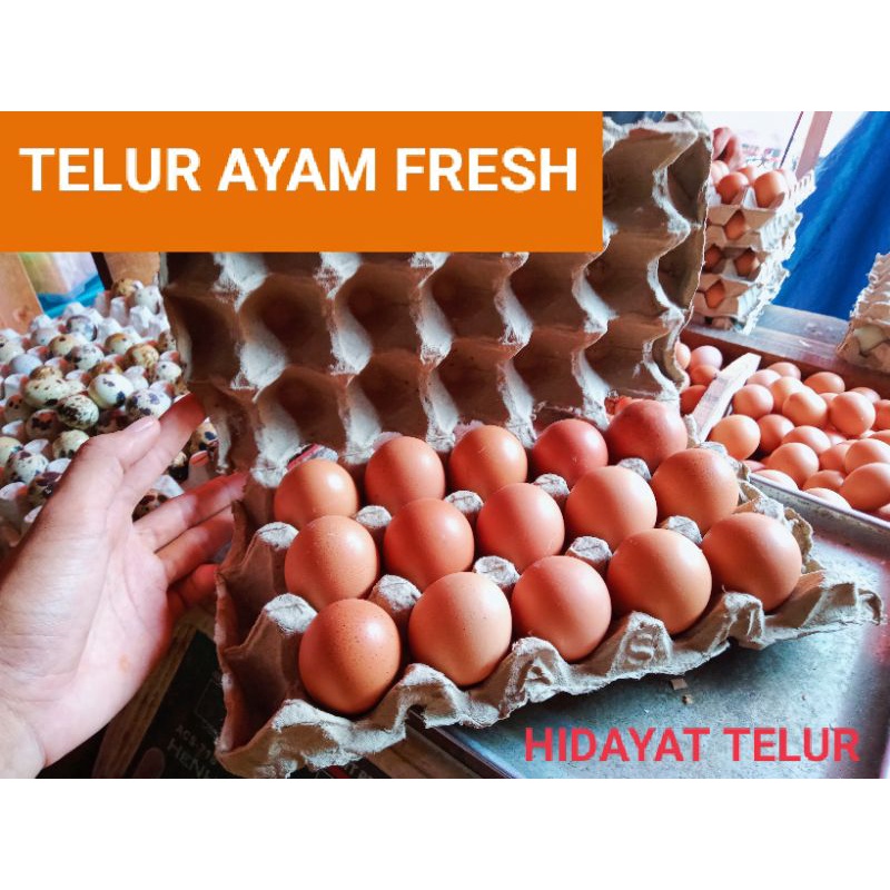 

Telur Ayam Negeri 15 Butir Tinggi Protein