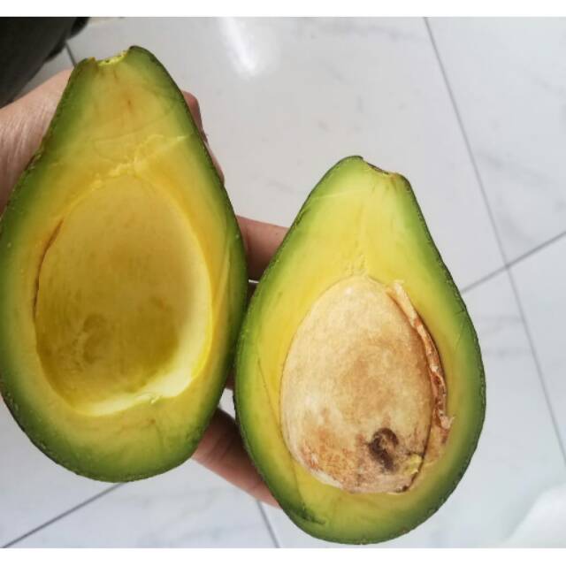 

PAKET ALPUKAT MENTEGA JUMBO 3 KG