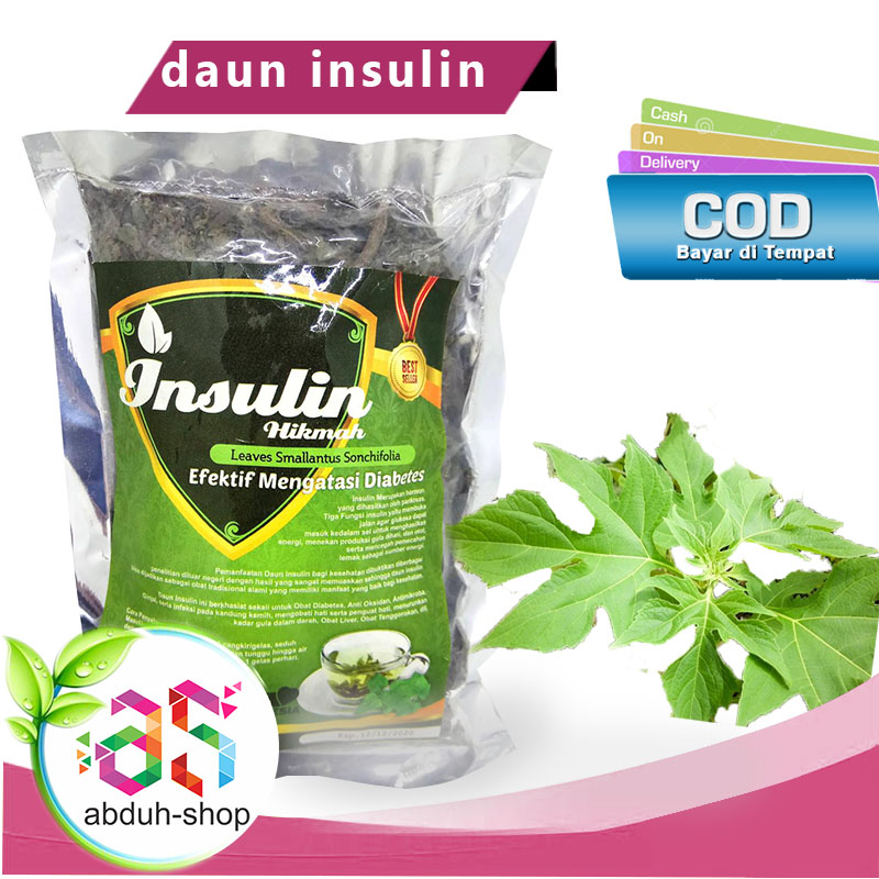 

Daun Herbal Insulin Curah Hikmah 30gram teh daun insulin