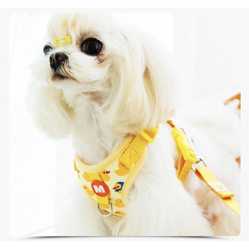 Moebi korea animal buddy harness set