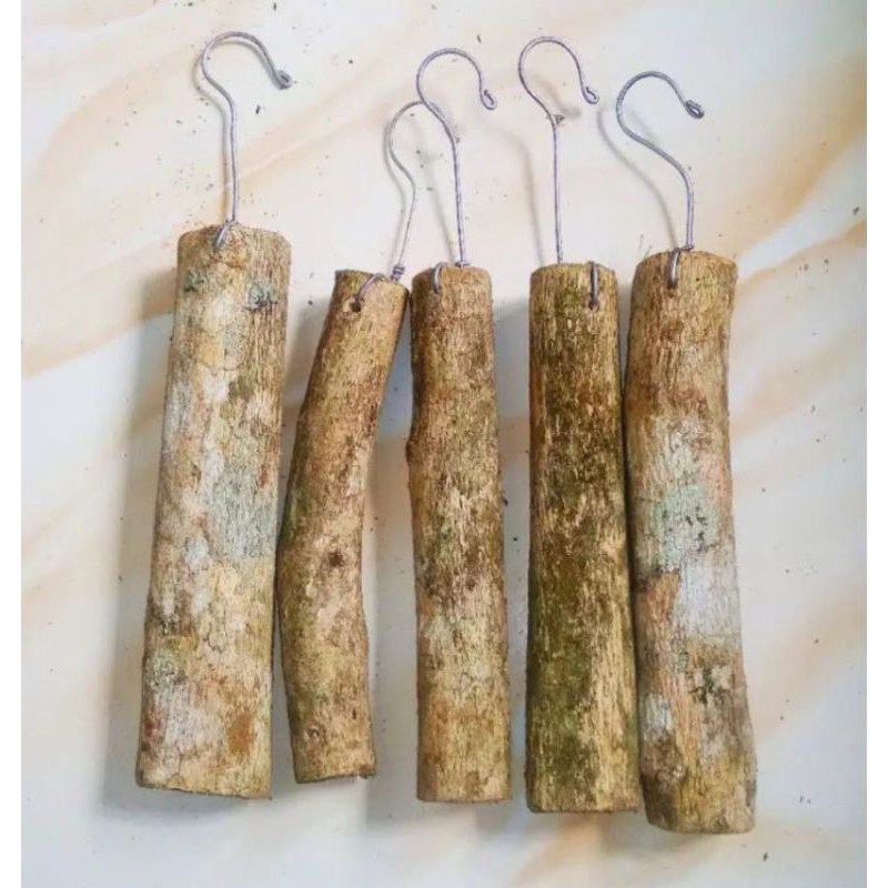 Media tanam anggrek kayu kopi - media tanam anggrek gantung kayu kopi