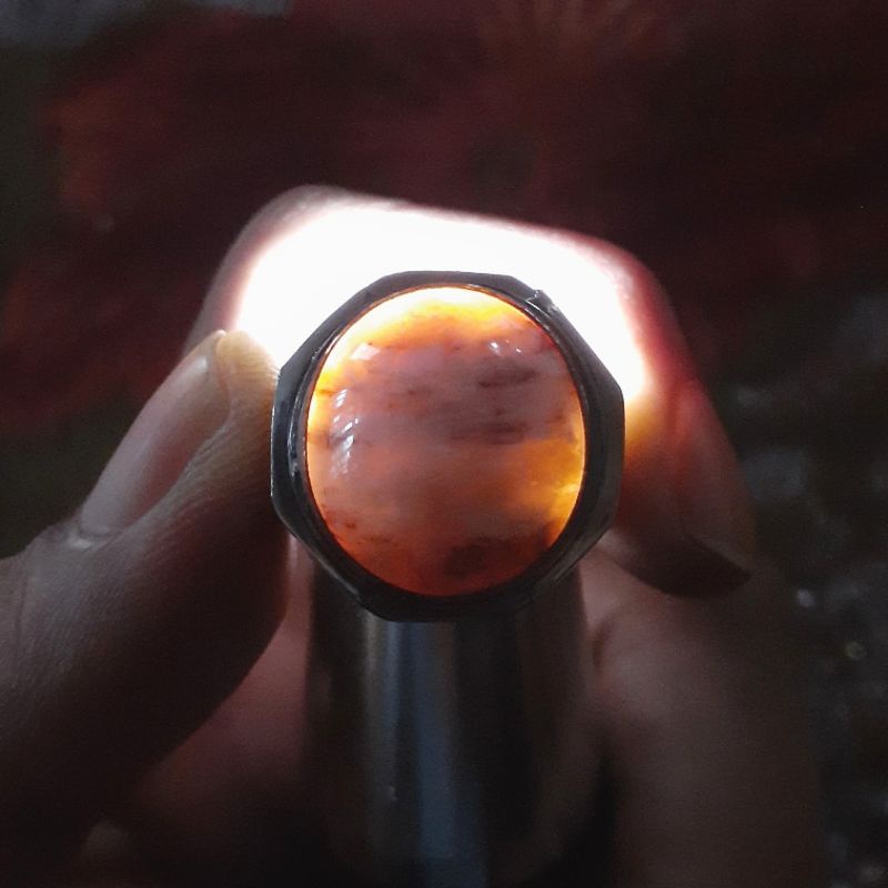 Batu Fosil Kayu Palem Putih Kristal