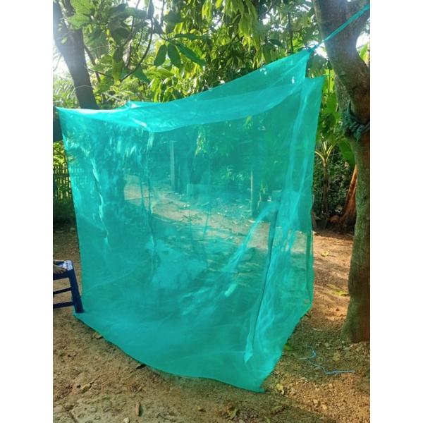 kandang lalat BSF magot 1x2x2 full alas