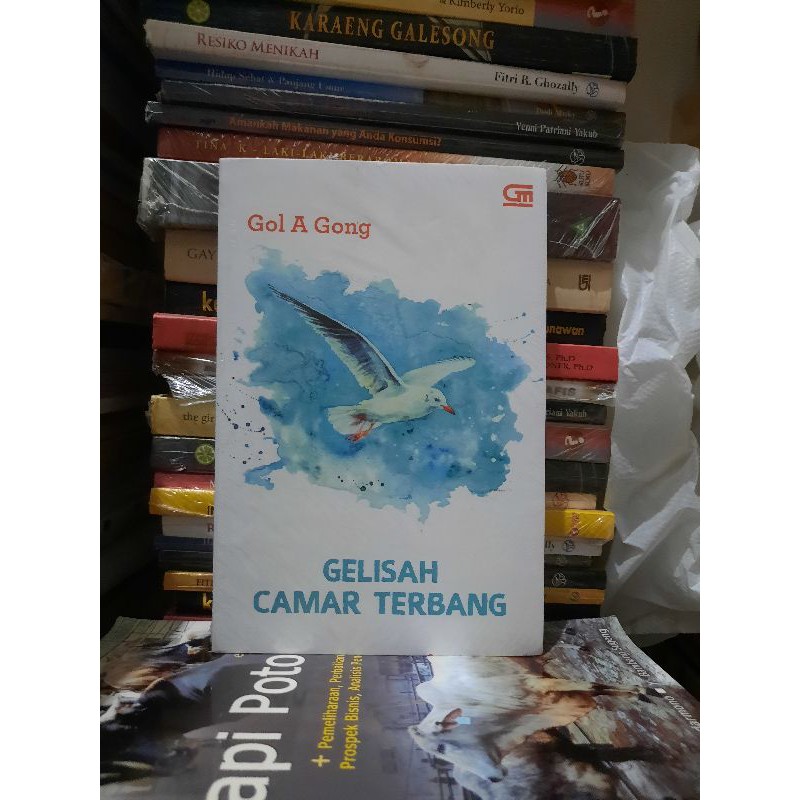 BUKU ORIGINAL GELISAH CAMAR TERBANG