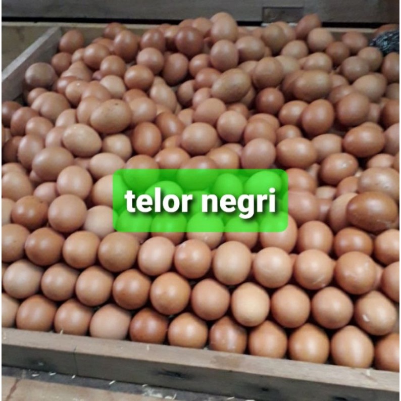 

Telor ayam negri suka bumi