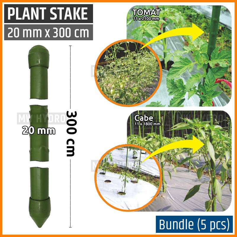 5 pcs Plant Stake / Ajir Tanaman - TAKIRON - 20 mm x 300 cm