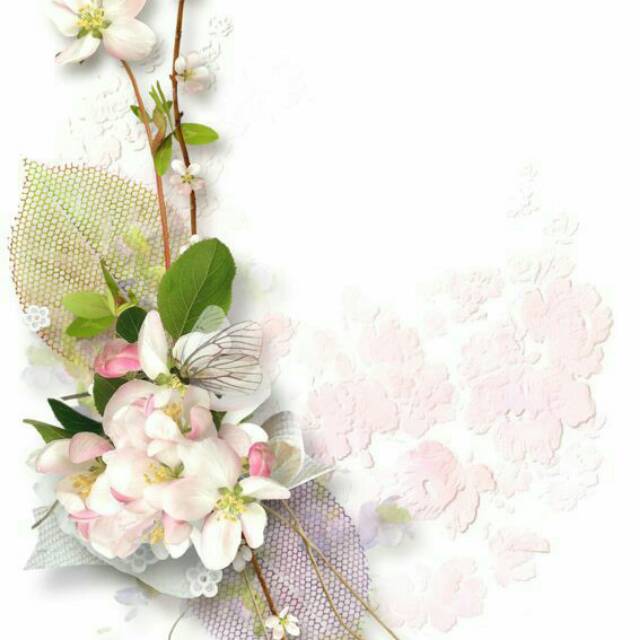 tafsyirotulcukaamuthommima