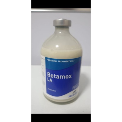 Amoxicillin antibiotik betamox