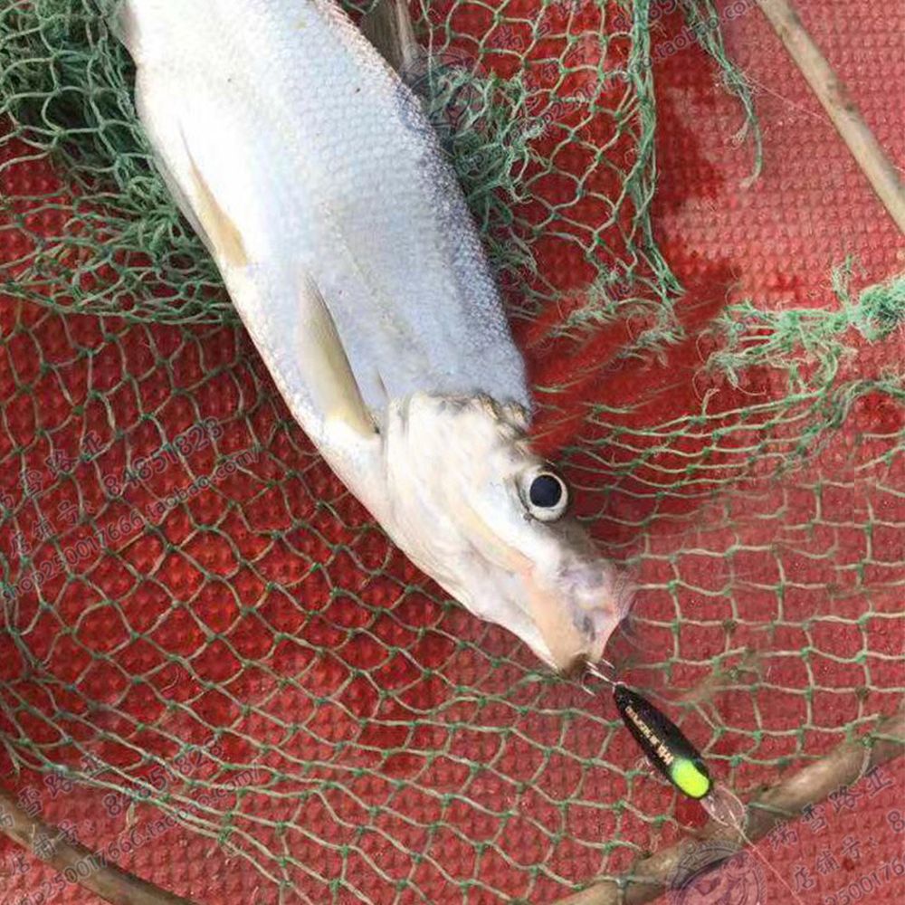 Umpan Pancing Bentuk Ikan Kecil Warna-Warni Ukuran 38mm 2.7g Untuk Outdoor