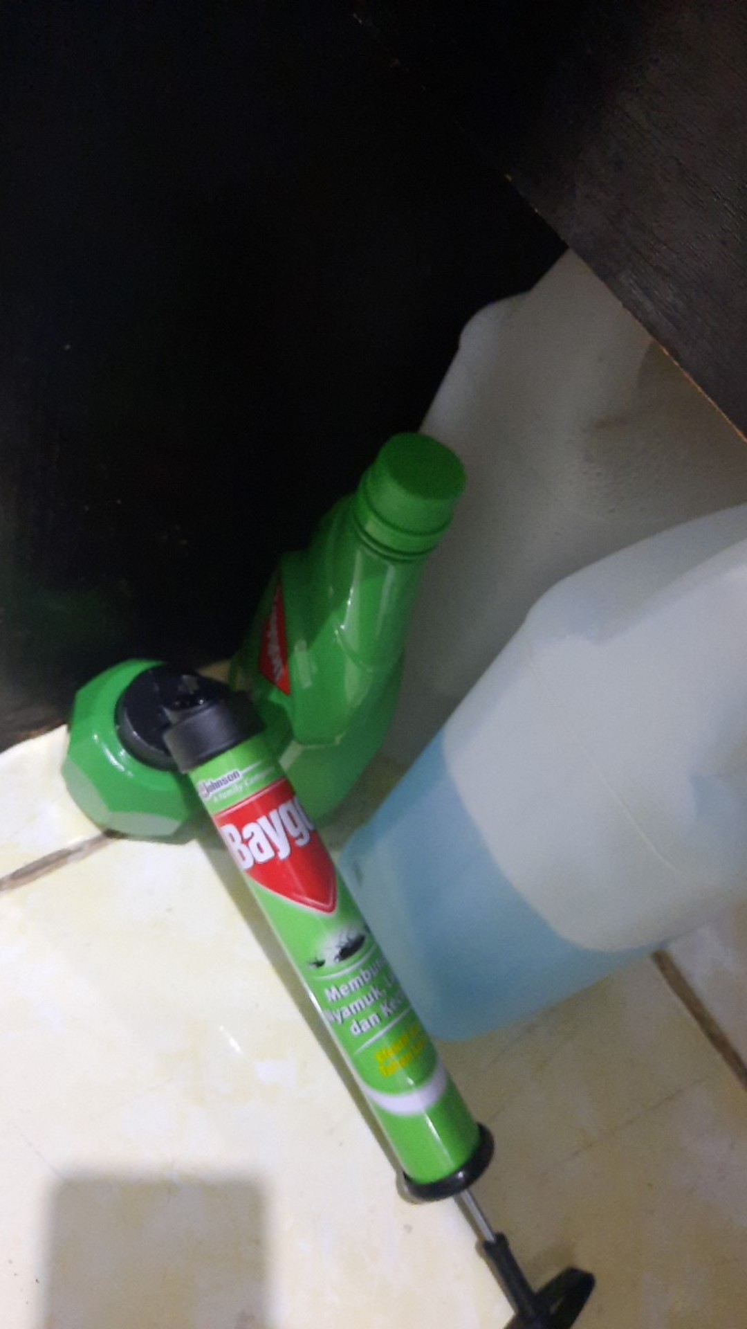 Baygon Anti Nyamuk & Kecoa  Jumbo 650ml+semprotan