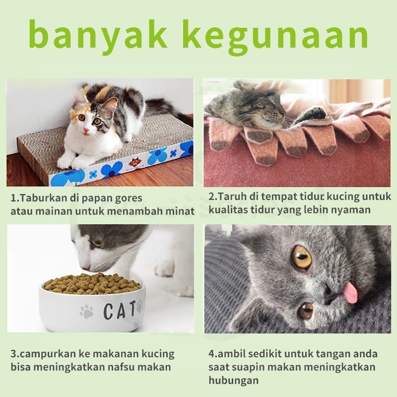 Catnip catmint kucing snack mint powder snack hewan peliharaan kucing pelengkapan