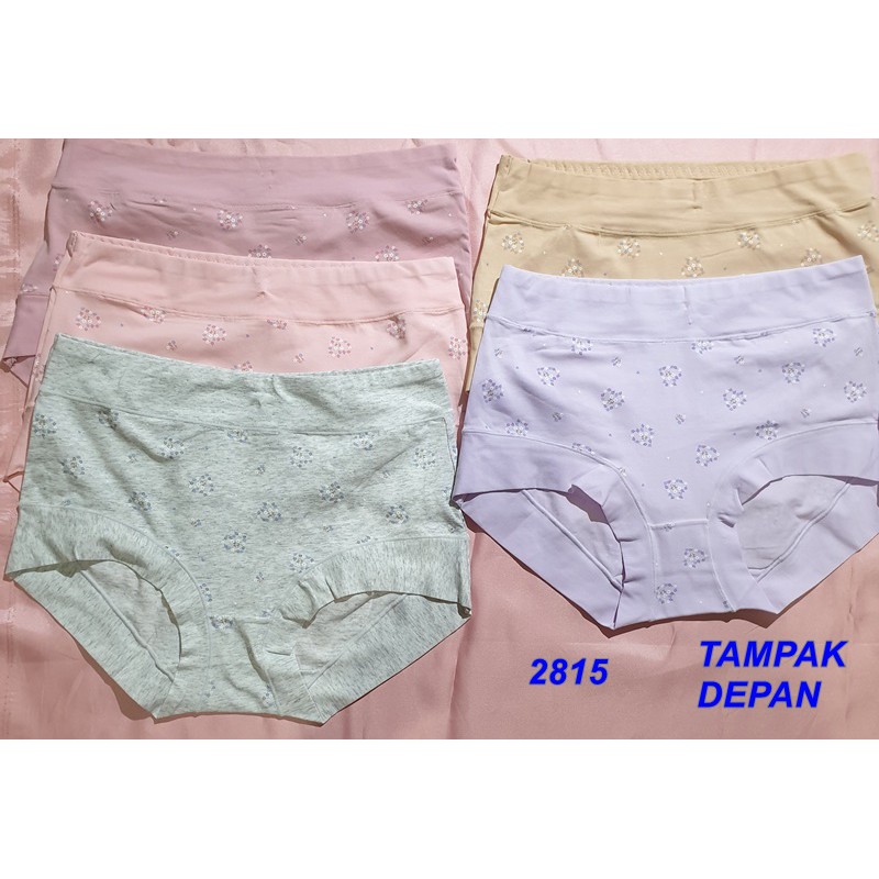 CD 2815 Celana Dalam Motif Bunga Bamboo