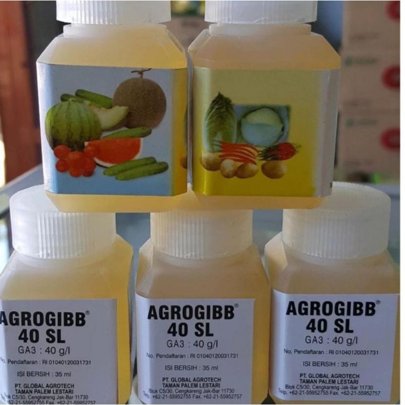AGROGIBB 40g/l asamgiberelat pupuk buah dan sayur