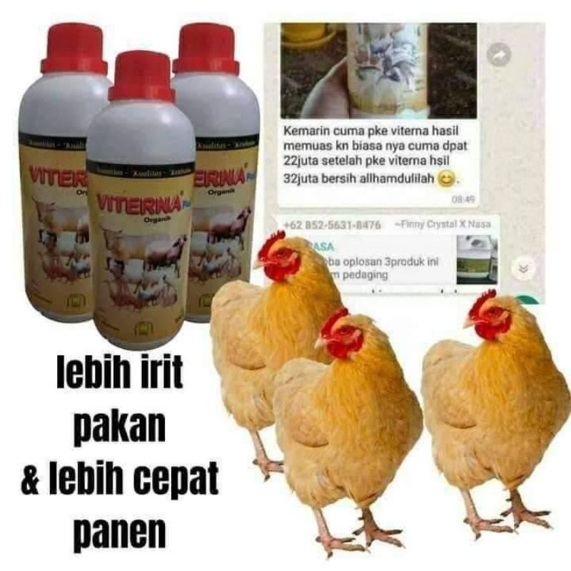 COD Gratis Viterna Plus Nasa Kemasan 500 CC Viterna Vitamin Penggemuk Ternak Ikan Udang Ayam Sapi Kambing Babi Kerbau Viterna Plus Vitamin Ternak Nasa Organik