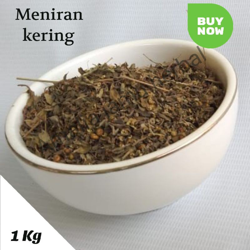 

herbal meniran kering 1kg / herbs Phyllanthus urinaria 1kg
