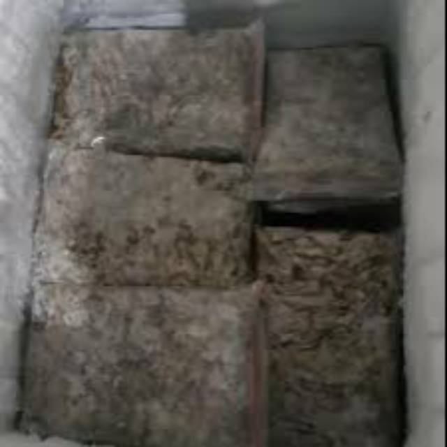 

Udang Frozen Ukuran Sedang Dengan Kepala